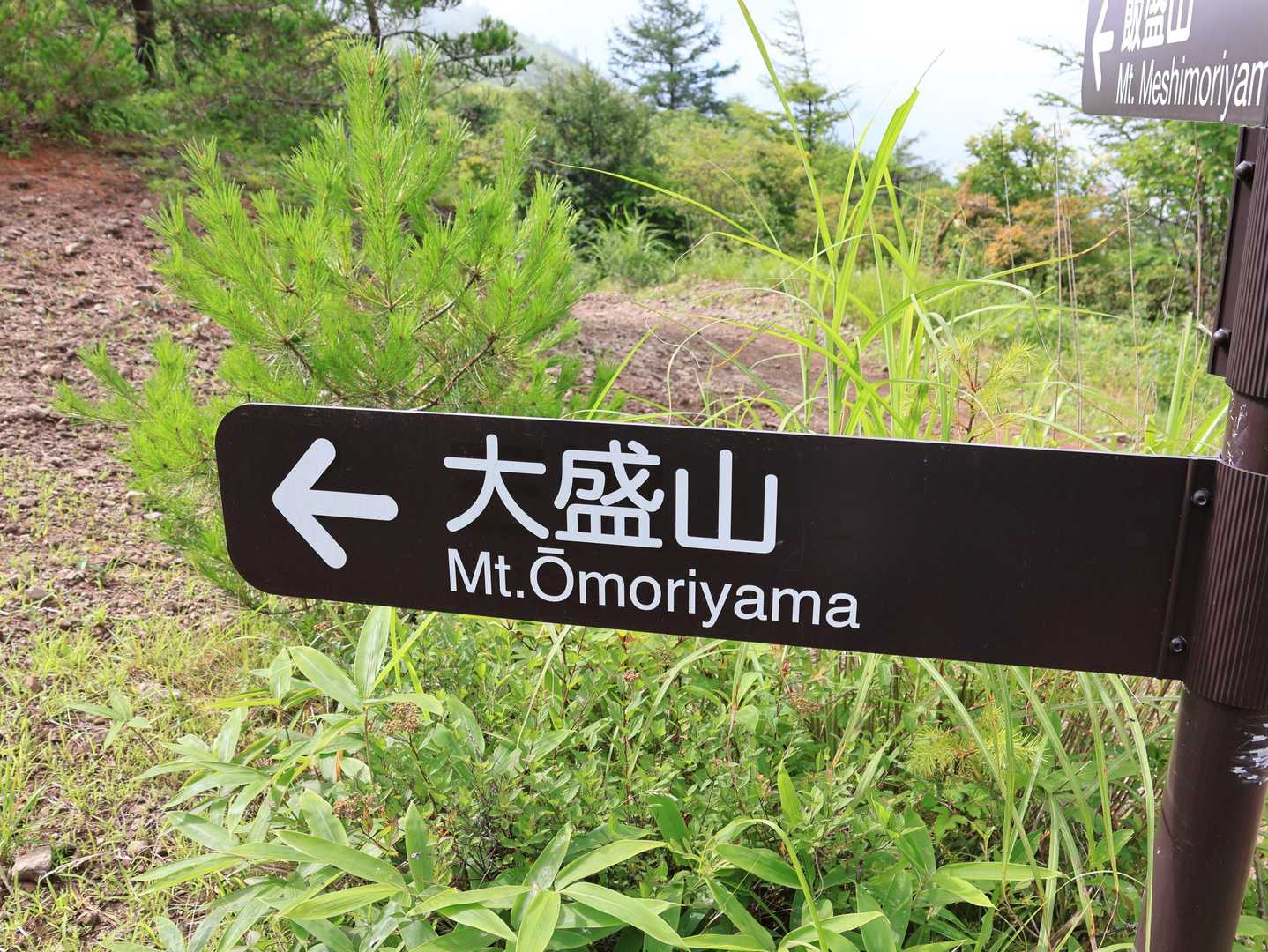 飯盛りに大盛り。なんていうか、おもしろい山名だよね。その中でいぶし銀的存在の平沢さん。平沢は地名ですけど。