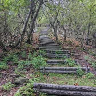 尼ヶ岳までの最後の急登