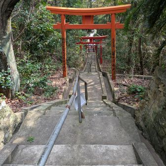 山頂からの眺望はありませんでした😅