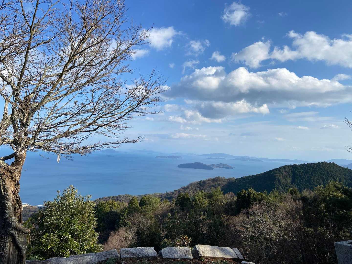 銭壷山-霧峯神社-大将軍山 縦走コースの写真