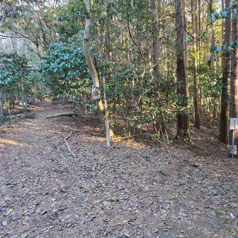 左の行者道へ…山頂まであと400mを１時間で行けるか？（大丈夫でした）