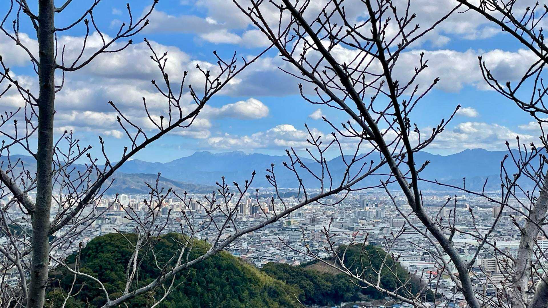 桜の木🌸越しの石鎚山