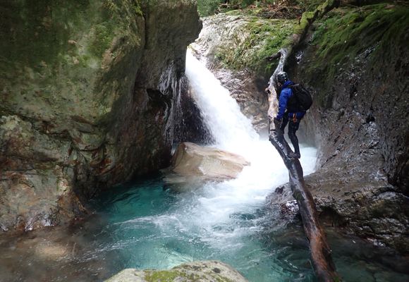 555｜滋賀県の登山記録 | YAMAP / ヤマップ
