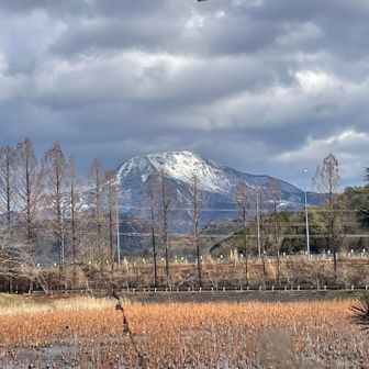 伊吹山　この脇に広いパーキングがあり、こちらの方が良かったかもと思いながらぷらっとパークへ戻りました。