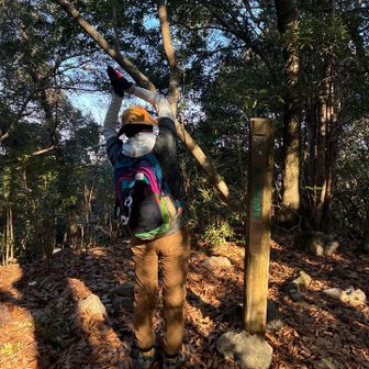 オオトンゴゲット
のび猫🐈‍⬛