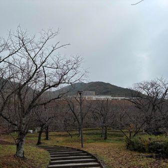安部山公園