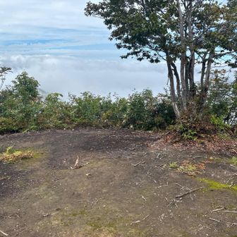 黒土で、山頂だけ草木生えてないから黒禿なのか？