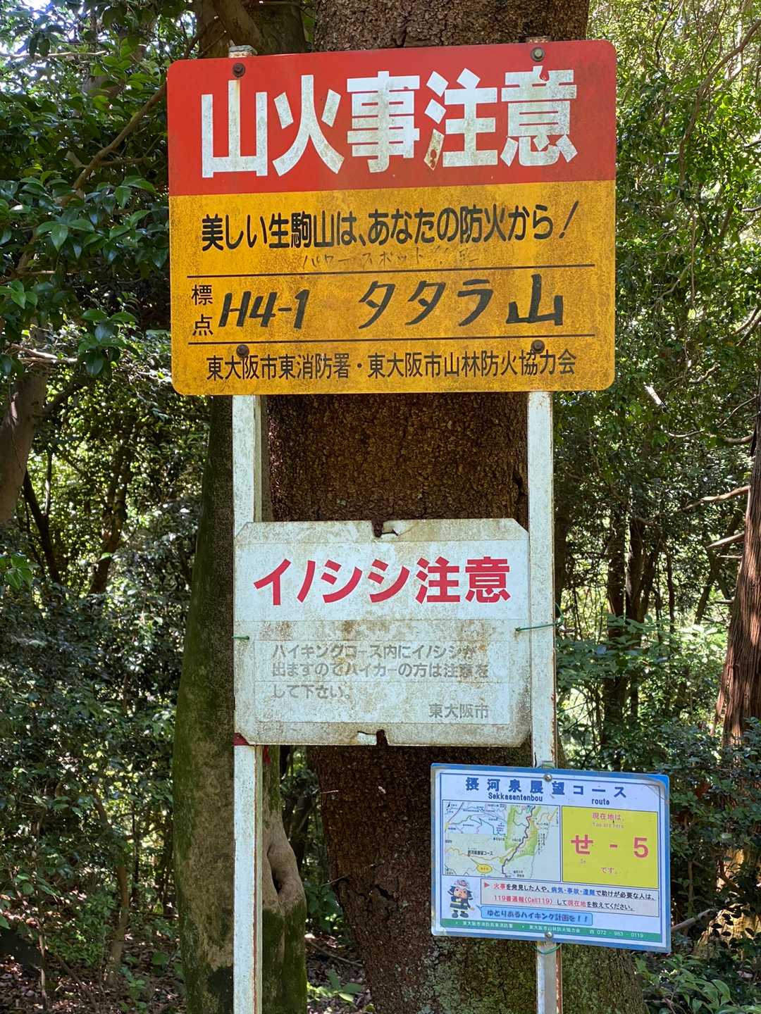 タタラ山