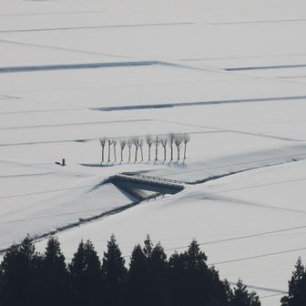 遠くからはさ木
ステキな写真ありがとう

私全然違うの撮ってたよー、、、