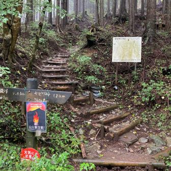 地図では、ここが「表尾根縦走コース登り口」とありました⛰️