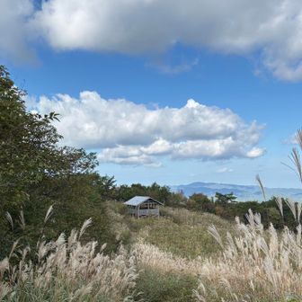 休憩小屋　サザエさんハウスらしい