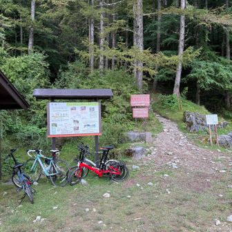 ここまで自転車で来るのも大変そう😳
蝙蝠岳まで日帰りピストンのお兄さんに
林道で抜かれました…本当にお疲れ様です🤣
林道歩き付きの山歩には必須かも♫