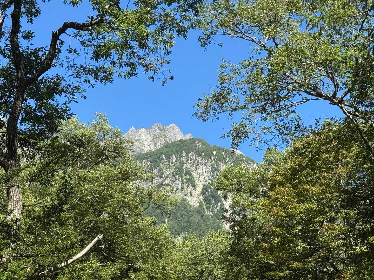 梓川に沿って点在する湿原・池塘・草原に魅せられながら、穂高連峰の懐への写真
