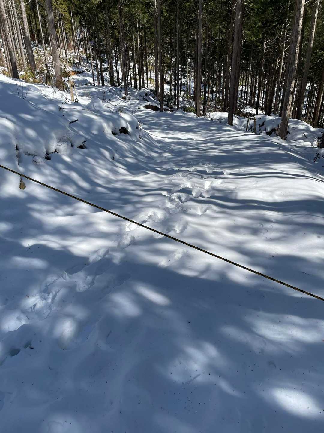 笠置山登山口-笠置山登山者休憩・記録小屋-笠置山登山道入口 往復コースの写真