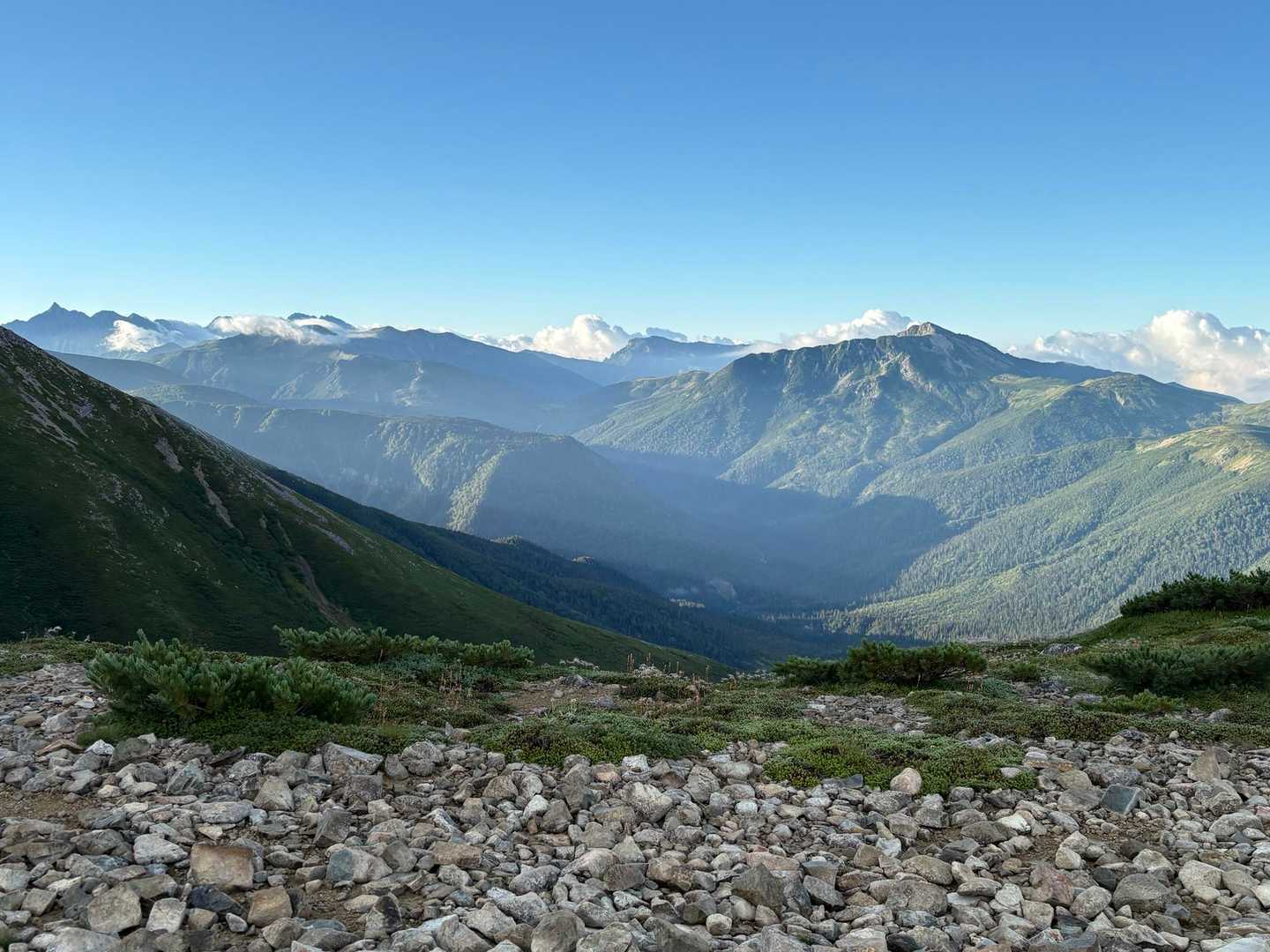 薬師岳登山口-五光岩ベンチ-太郎山-薬師峠-薬師平-薬師岳 往復コースの写真