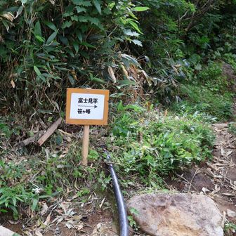 笹ヶ峰へ戻ります