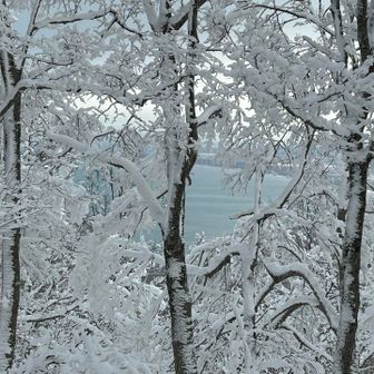 山頂からの眺望👀
海が見えました🌊