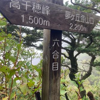 樹林帯を抜けるまでしんどかった。
少し景色が変わり、矢岳みたいになる