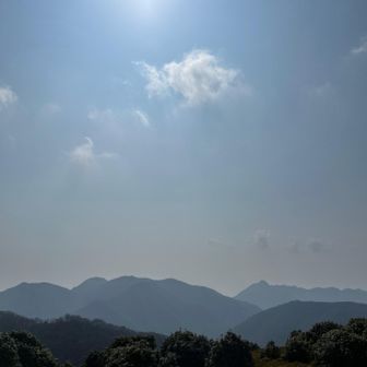 こっちも写真🤳