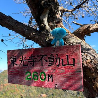東光寺不動山、登頂〜✨
見晴らしの良いここでランチ休憩します。

久しぶりの縦走で食欲がなく手作りハンバーガー🍔ひとつ…
せっかく作ったたまごサンド、チキンカツサンドは残してしまいました…

(ハンバーガー🍔一個て普通やろ、とか言わんといて😁)