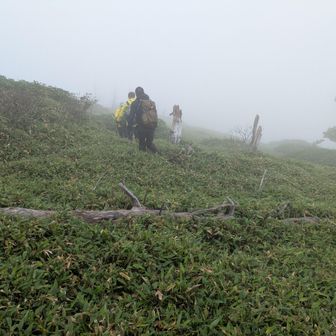 戻ります😮‍💨
私は両膝が痛くて最後尾から進みます。
天気が良ければ男体山と白根山の間を通る稜線
なので絶景を眺めながら進めたのですが
霧・強風・真っ白の中を進むことになりました😢