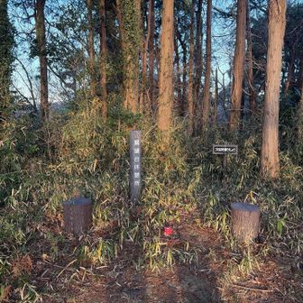 展望台休憩所、甘沼山山頂🔺