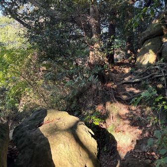 鷲峰山へはこの正面を登る。
少しわかりにくい。
