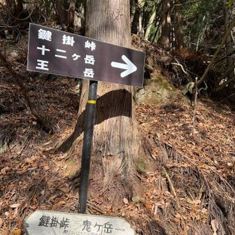 周回して、鍵掛峠側の登山口に戻ってきました。