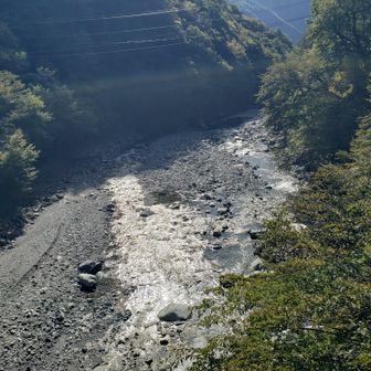 水は少ない気がする