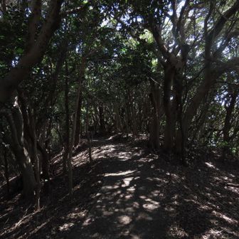 そのまま歩きます