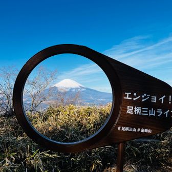 一応やっておきました😅