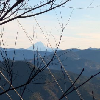 富士山が綺麗です！