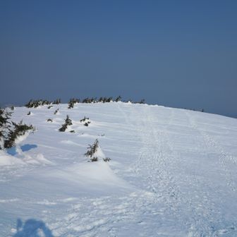 横岳ピーク方向だが、GPSを確認しないと👀