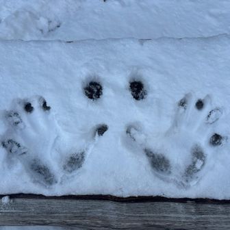 雪遊び😄
寒いし、帰ります