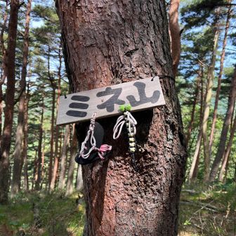 毛無山まで急登です。
中間点はミネ山　謎のわらじ