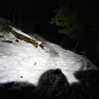 ますますガリガリに。