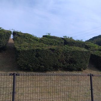 上から見ると