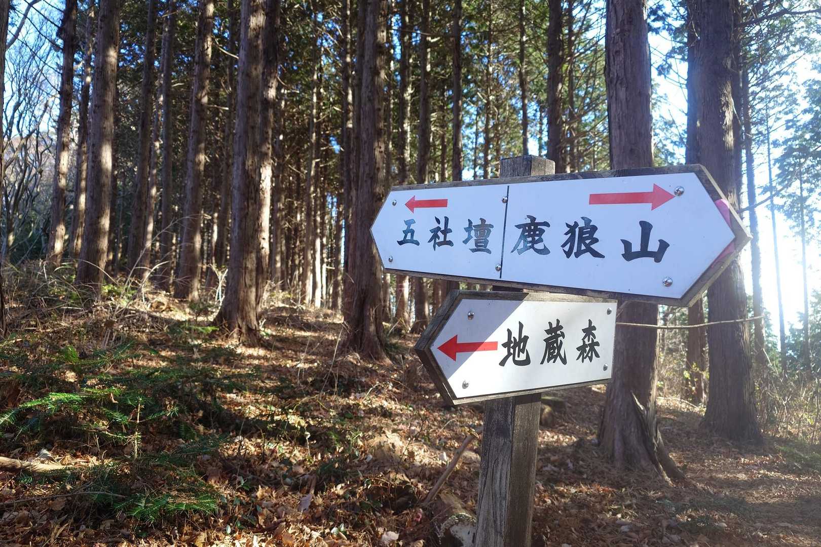 分岐点