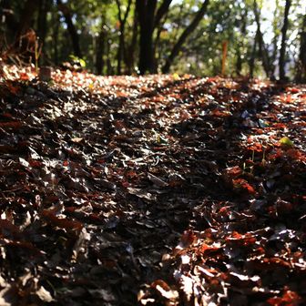 あ〜良い☺️
好き😊