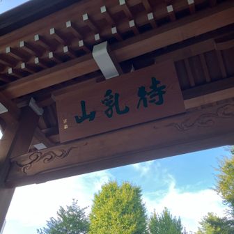 待乳山到着。合格祈願の絵馬が見応えありました。
