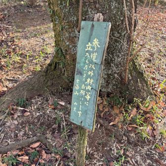 との事ですので、注意して歩きましょう
この看板と樹の辺りがピークの様です
この看板に従い登山道を歩いて三角点を探してみましたが、残念ながら見当たりませんでした