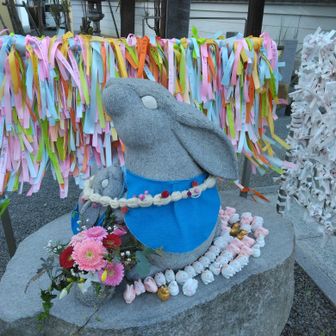 甲山寺(こうやまじ)🐰
弁財天のお堂(もう閉まっている)の向こうの階段から、甲山(かぶとやま)ヘ　
がんばれ💪日が暮れる🌇
三等三角点🔺87m
