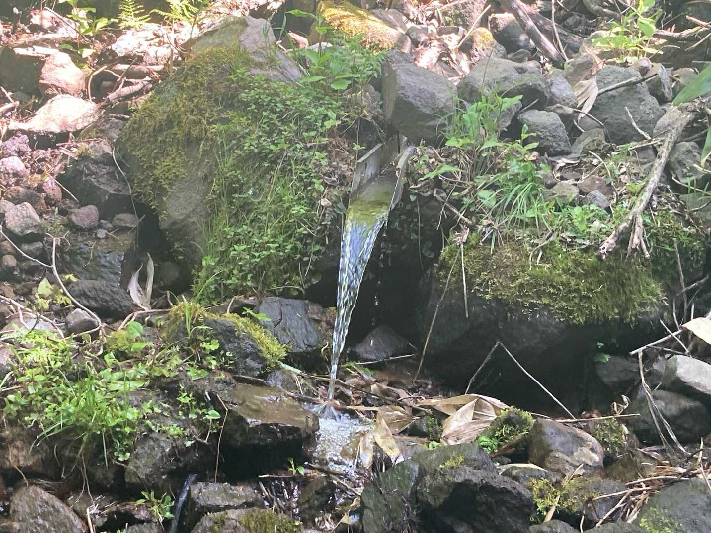 水場あり