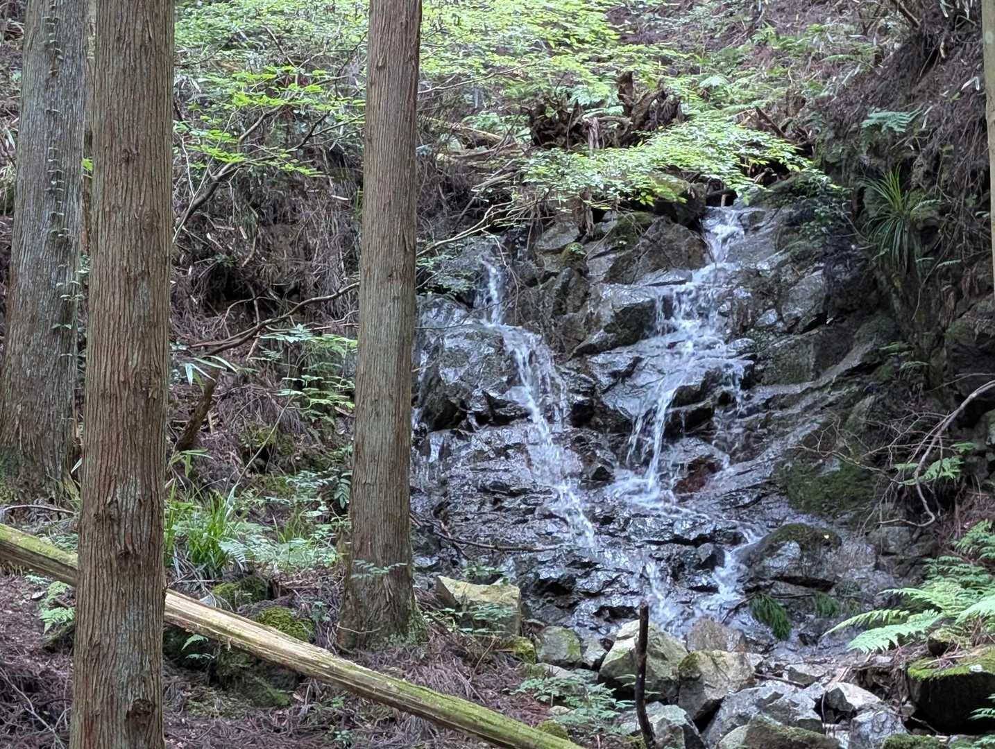 寺谷の滝でした