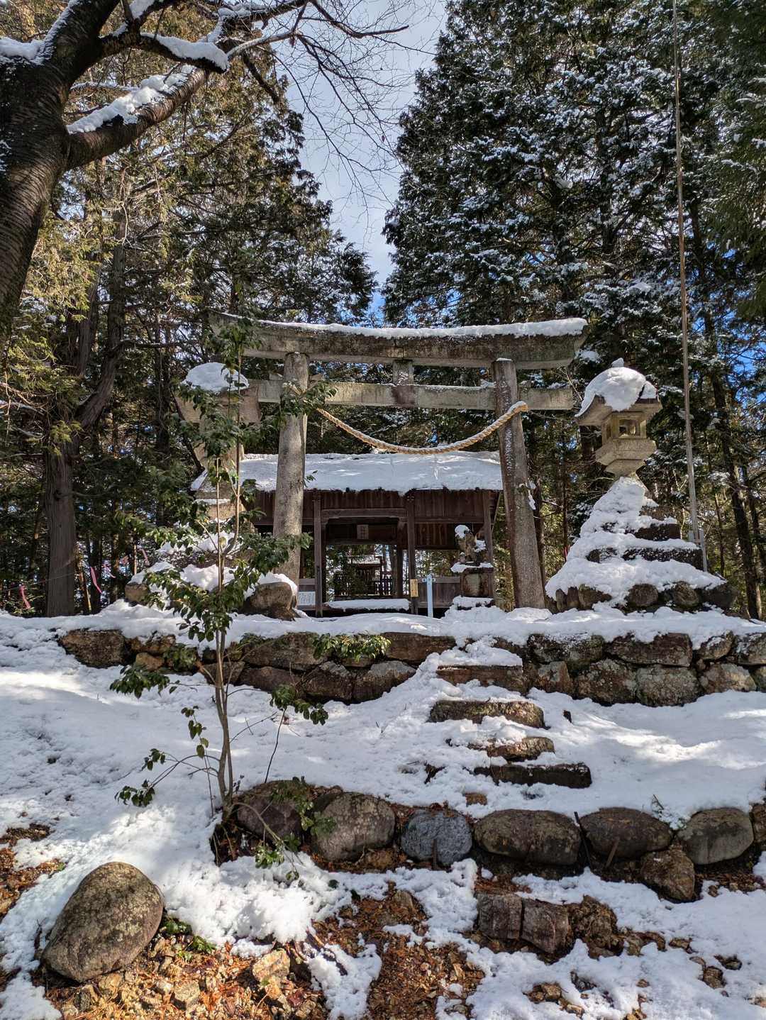 神社⛩️