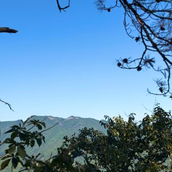 彦谷湯殿山とか足利の山に少し似ているような？気のせいかな⛰️