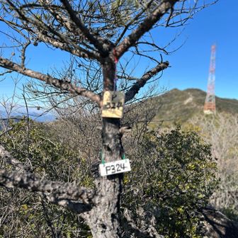 最後に3つめのPなんとかっていピーク