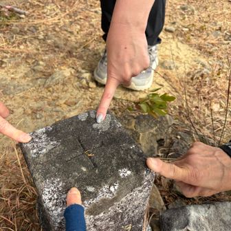 ピークゲット❗️