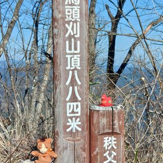今年初の午年の山に来ました
右のアヒル？は置いてありました