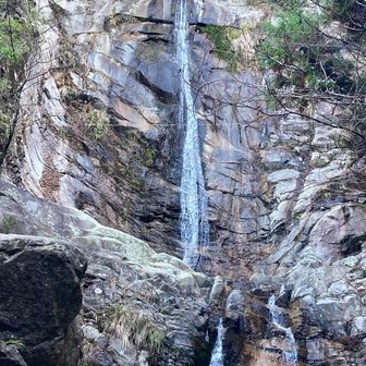 今日は気分を変えて白糸の滝からスターティン
山頂は-1℃だったらしい
すれ違った方の情報